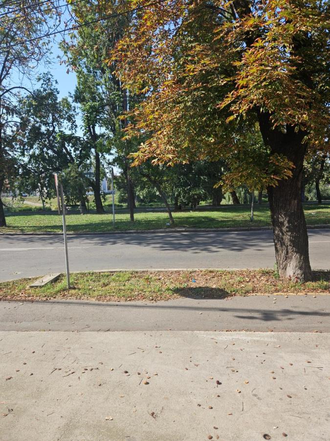 Laci Lak Premium apartment Oradea Bagian luar foto